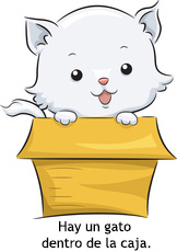 cat in a box