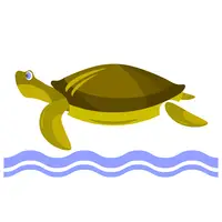 turtle