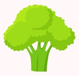 broccoli