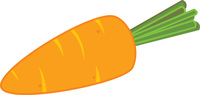 carrot