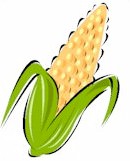 corn