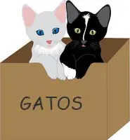 gatos