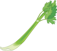 celery