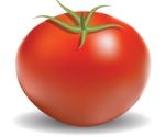 tomato