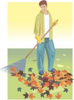 rake the leaves