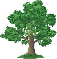 árbol